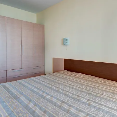 дриймбг - парадайз дриймс, влас *